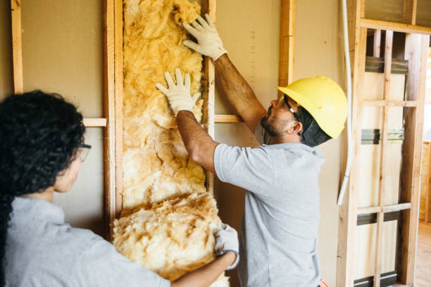 Best Blown-In Insulation  in Colfax, LA